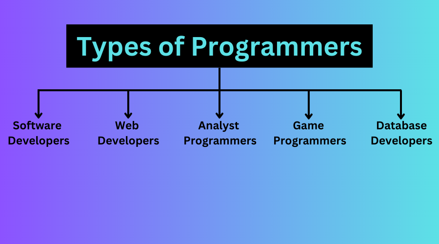 5 Types of Programmers: A Comprehensive Look