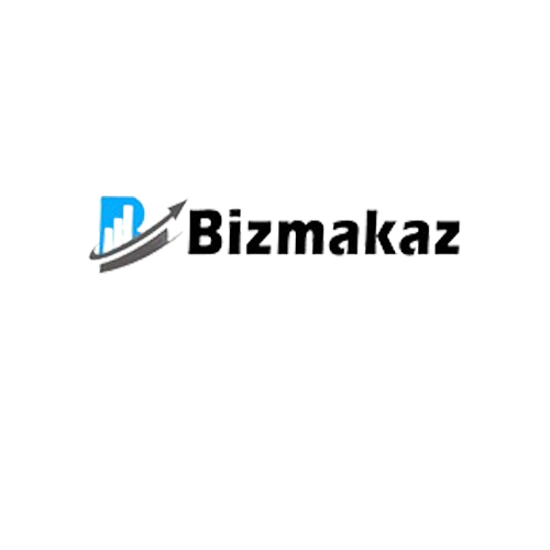 Biz Makaz Business Consultant