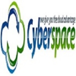 Cyberspace Car rental software