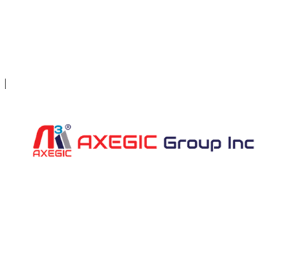 AXEGIC GROUP INC